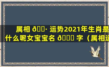 属相 🌷 运势2021年生肖是什么呢女宝宝名 🐎 字（属相运势2021年生肖是什么呢女宝宝名字怎么取）